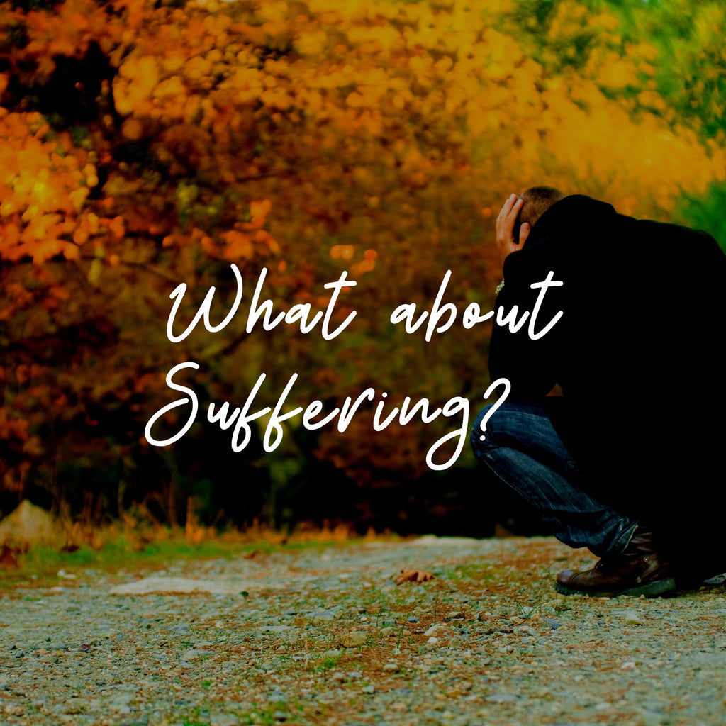 What About Suffering